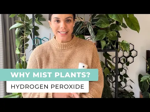 Plant Misting As Nature Intended Using the Mister 360 & Hydrogen Peroxide - Oxygen Plus