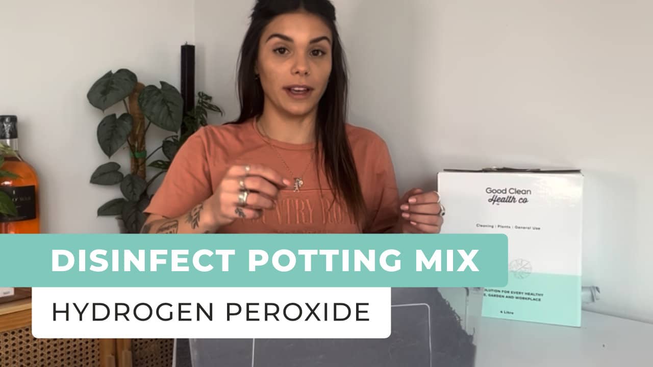 Disinfect Your Potting Medium Using Hydrogen Peroxide